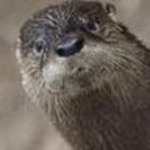 Meet your Posher, Tabitha